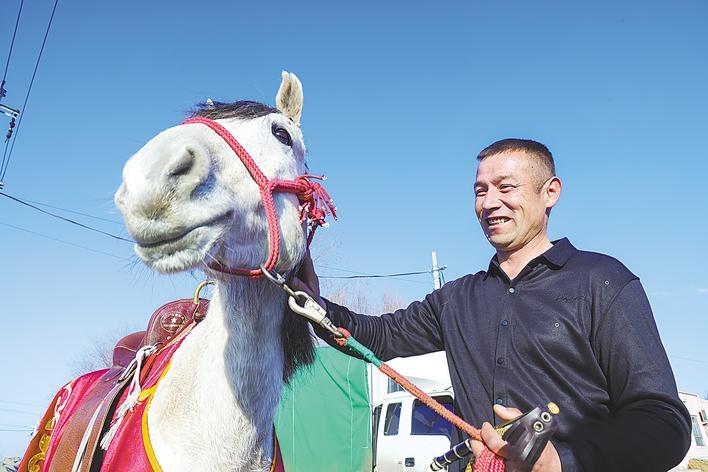 “白马骑士”有续篇 疆鄂情深送马来 “白龙”马又...